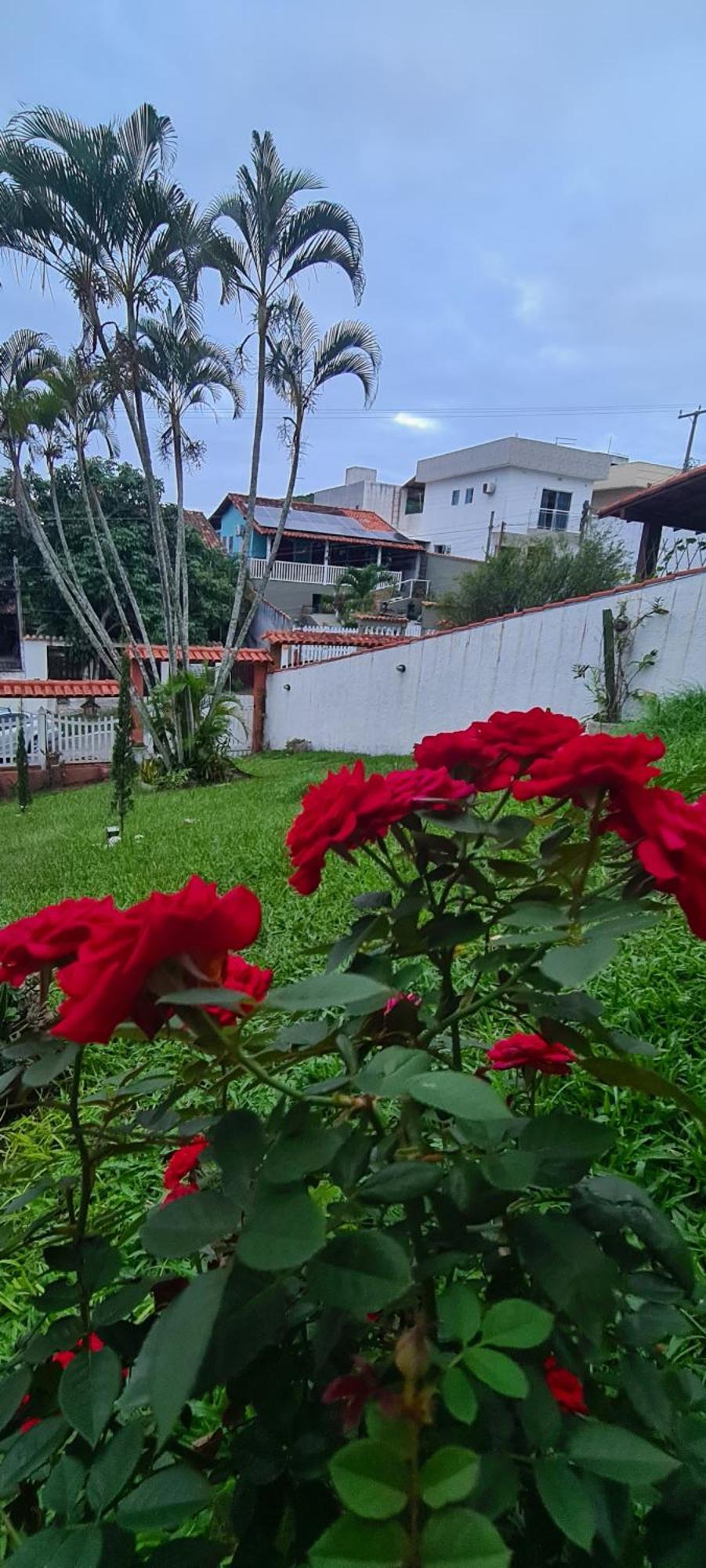 Red Rose Hotel กาโบฟรีโอ ภายนอก รูปภาพ
